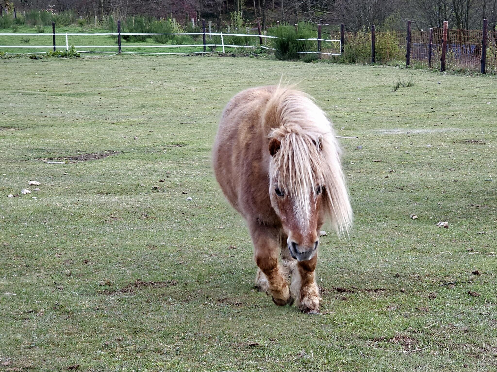 N'insistez pas! [Photo de Geneviève Legay]