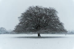 J'ai froid, faudrait pas attraper une branchite