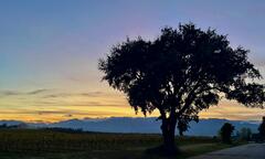 S&eacute;r&eacute;nit&eacute; au pied du maquis