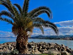 Le gardien de la baie. &laquo;&nbsp;&Icirc;le Rousse&nbsp;&raquo;