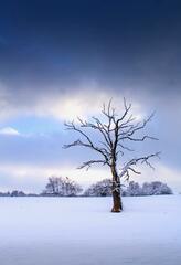 S&eacute;r&eacute;nit&eacute;