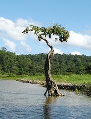 Les pieds dans l'eau