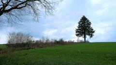 Sur la voie des plan&egrave;tes