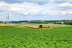 Au c&oelig;ur de la nature