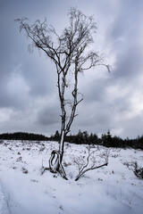 Sur les hauteurs de Spa