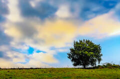 Par un beau jour d'&eacute;t&eacute; !