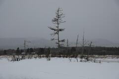 C'est le printemps chez les Micmacs