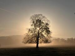 Si Dieu existait ...