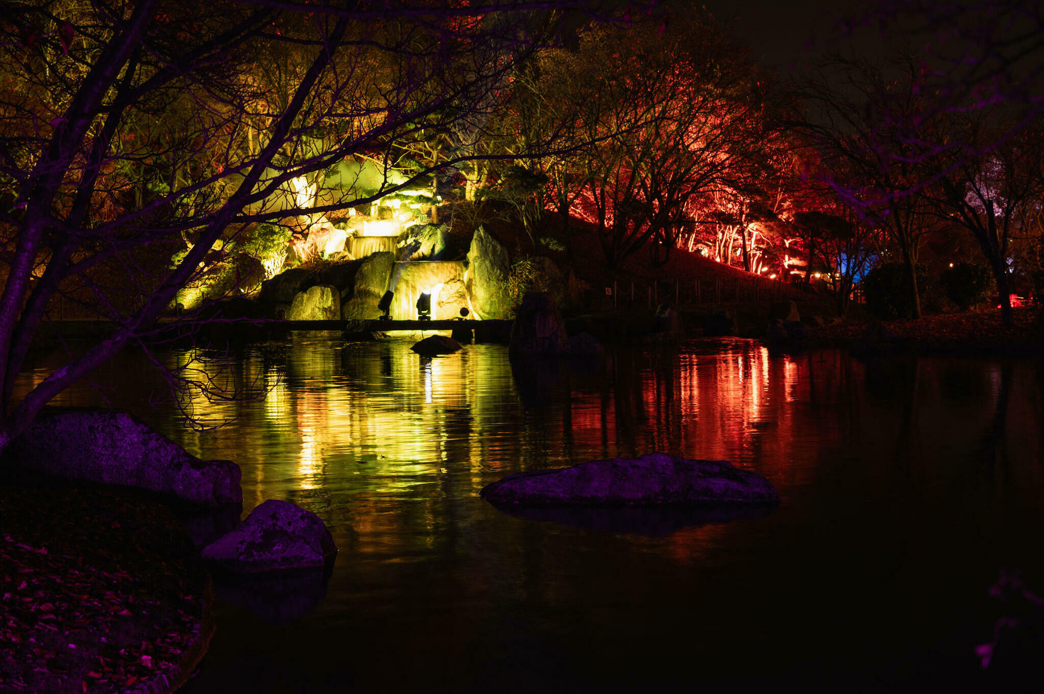 Jardin oriental by night [Photo de Jean-Louis Darchambeau]