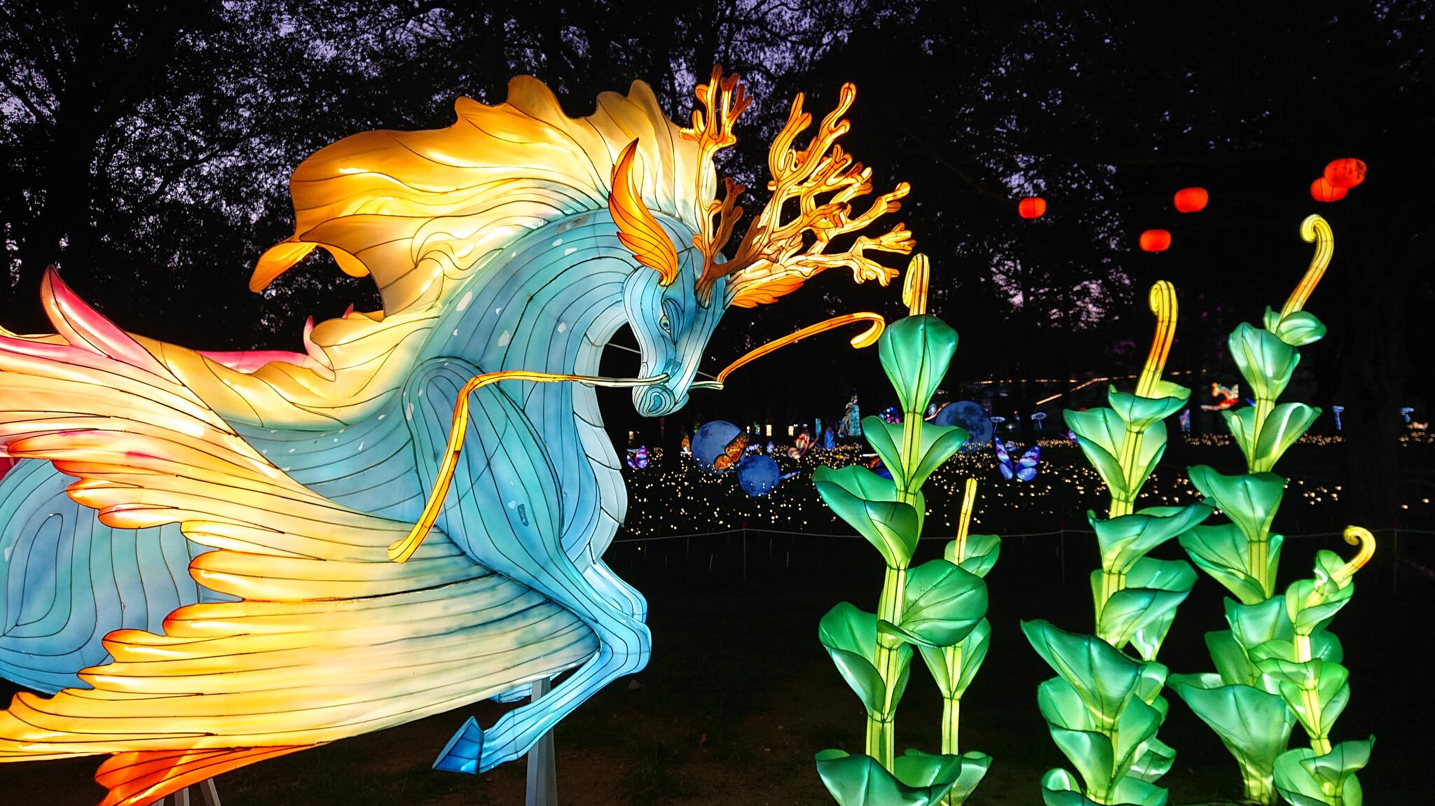 Quand P&eacute;gase rencontre H&eacute;m&eacute;ra [Photo de Thierry Tournier]