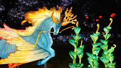 Quand P&eacute;gase rencontre H&eacute;m&eacute;ra