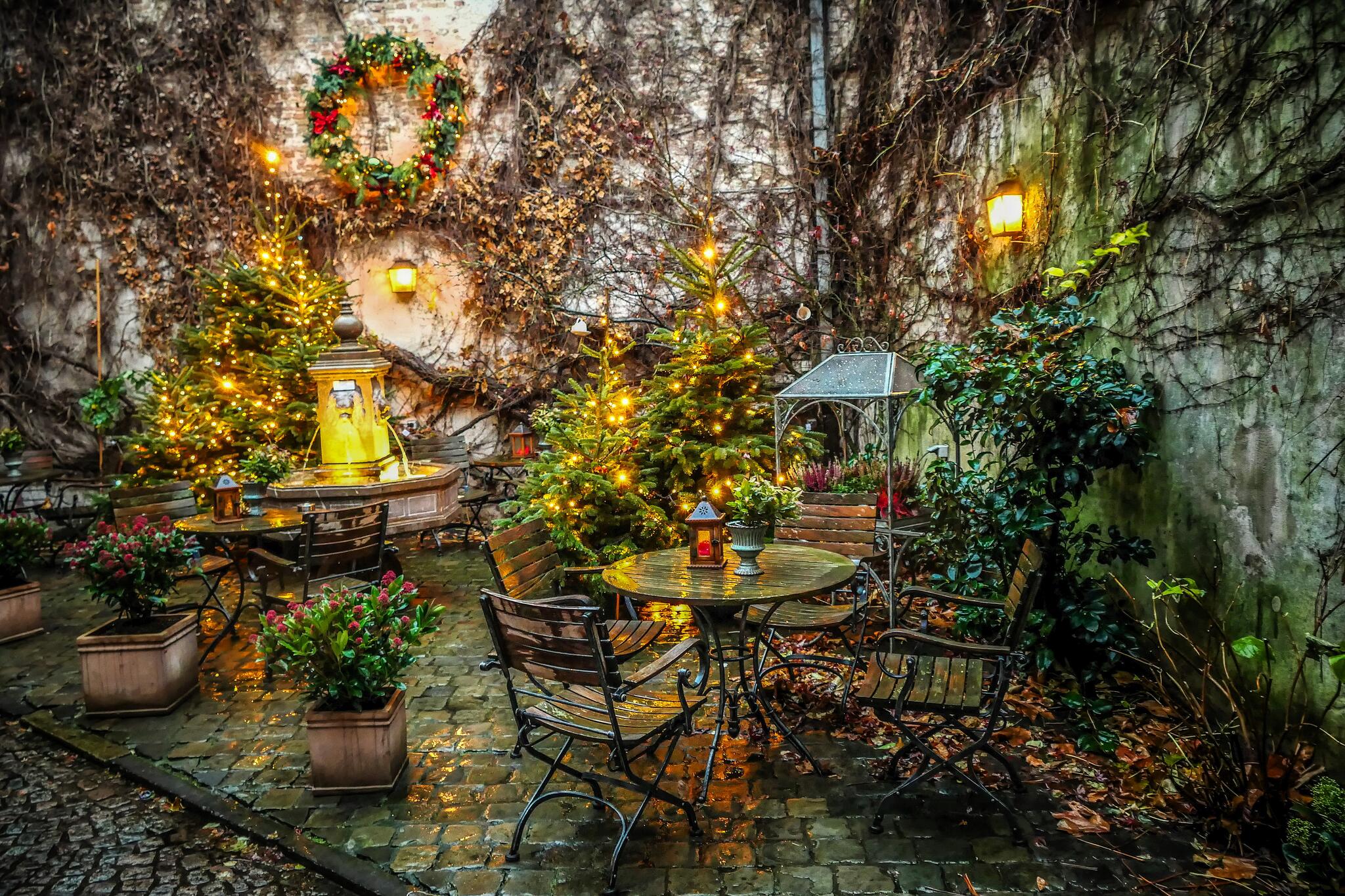 Laisse briller les lumi&egrave;res [Photo de Jeannine Sacre]