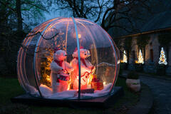 Les lumi&egrave;res de No&euml;l