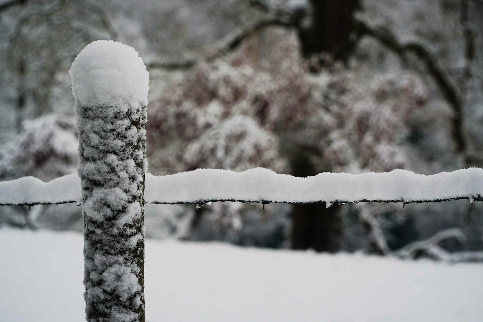 Fronti&egrave;re blanche