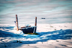 Un abreuvoir dans la neige