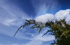 Neige perch&eacute;e