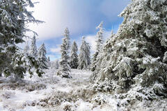 Direction Tr&ocirc;s Br&ocirc;li