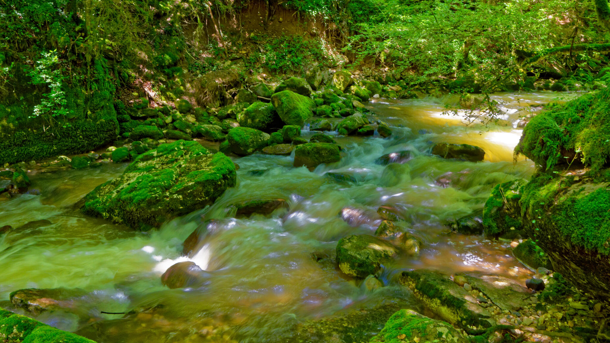 Aval de la cascade de la Doriaz, Savoie [Photo de Gérard Bronnec]