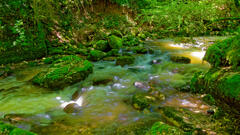 Aval de la cascade de la Doriaz, Savoie