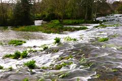 Le velouté aquatique