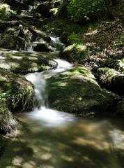 Rivière bouillonnante et pierres moussues