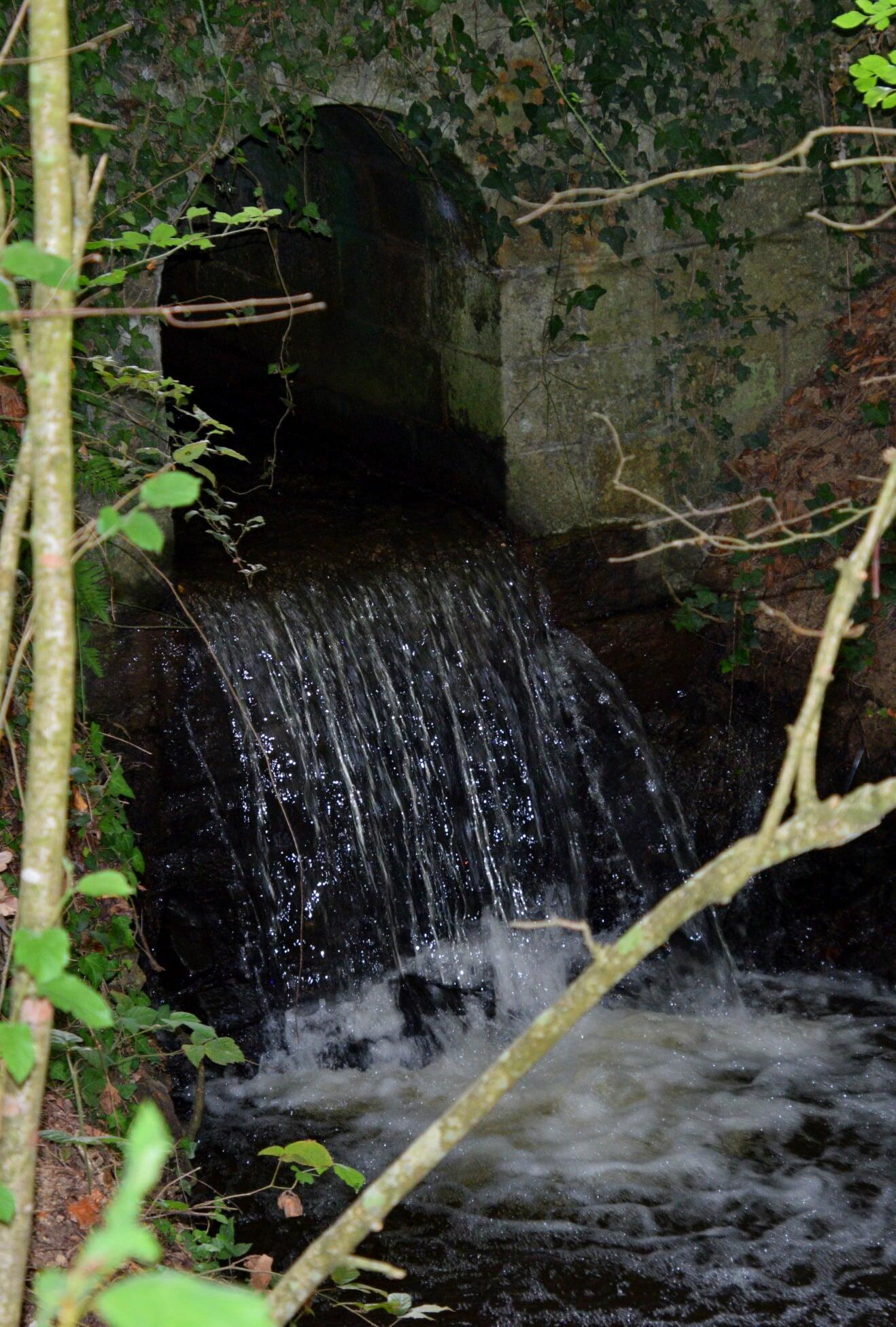 Dos d'eau [Photo de Jerome Laforge]