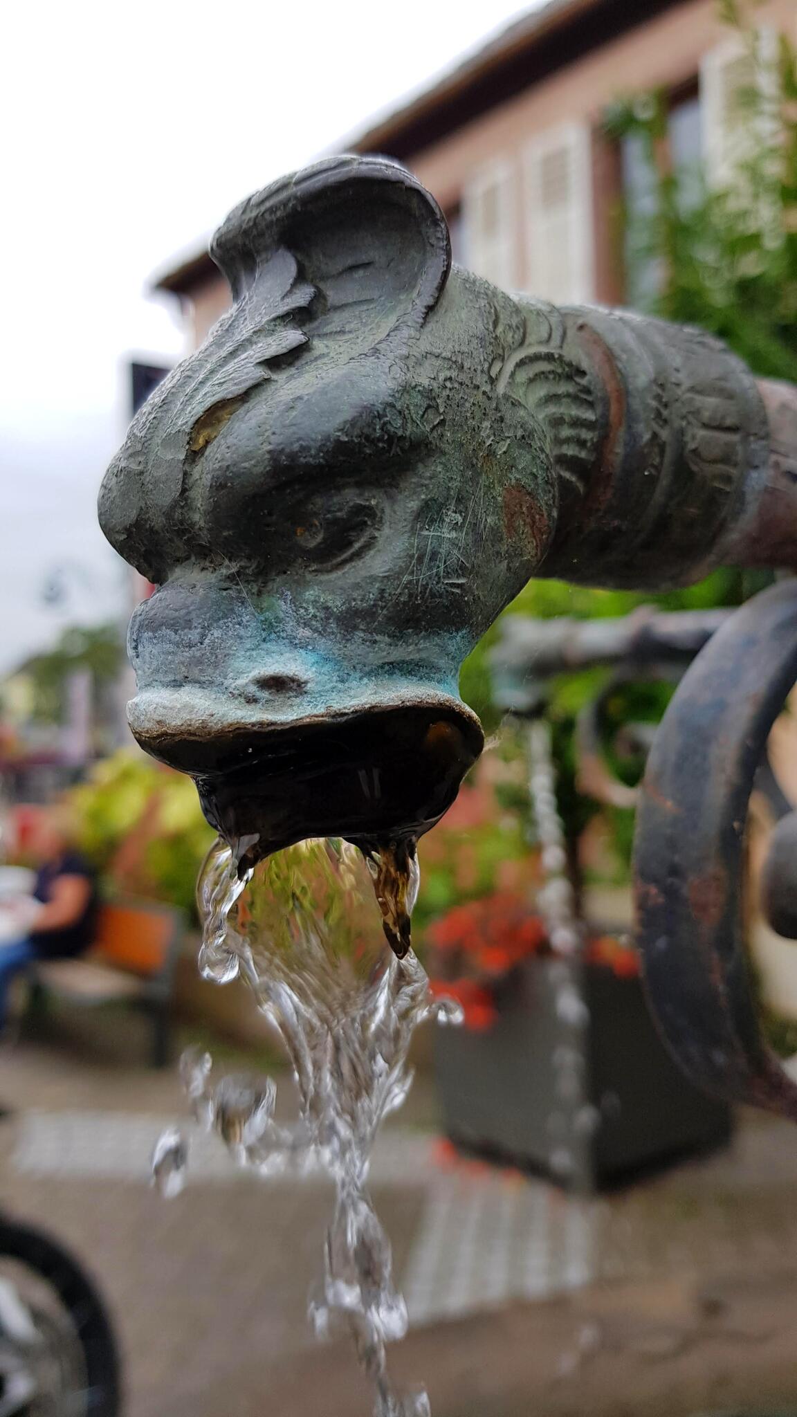 Le cracheur d'eau [Photo de Suzy Louvieaux]