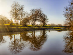 Reflets sur le canal latéral de Loire