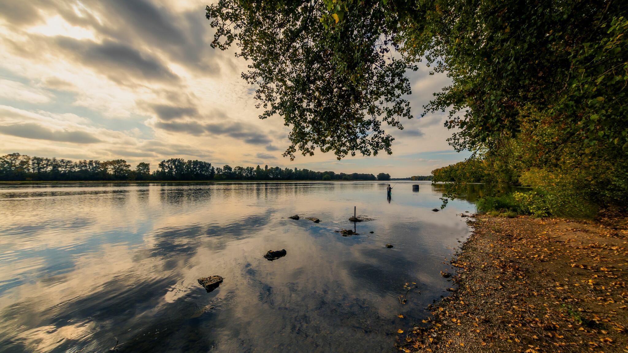 Le pêcheur de Loire [Photo de Pascal Prost]