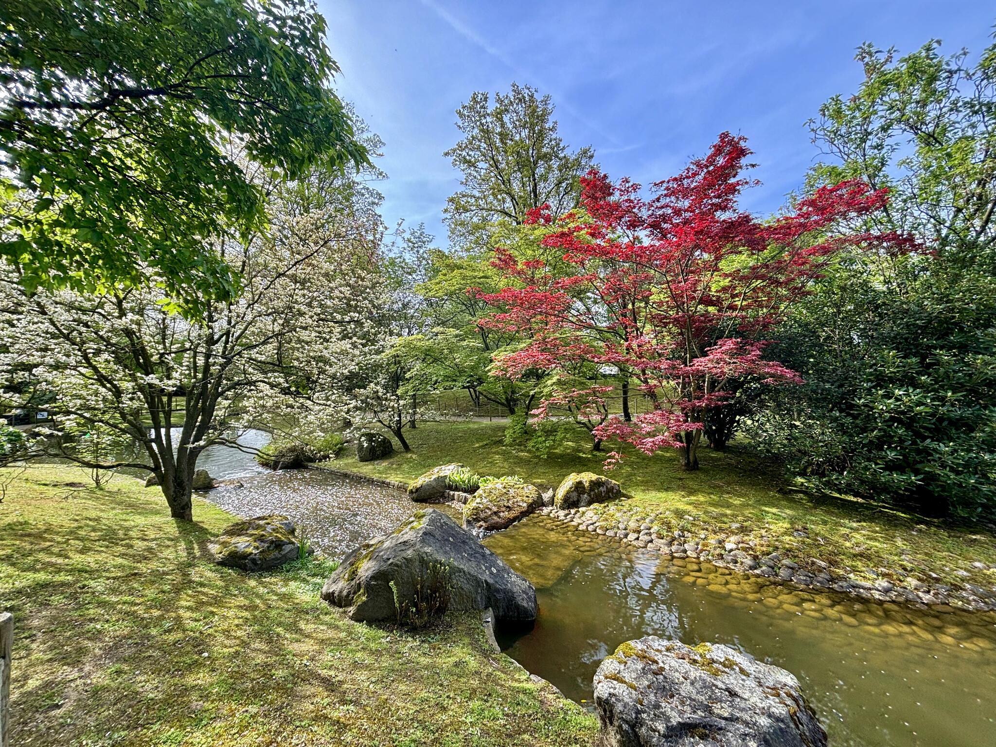 Histoire d'eau [Photo de Denise Fontaine]