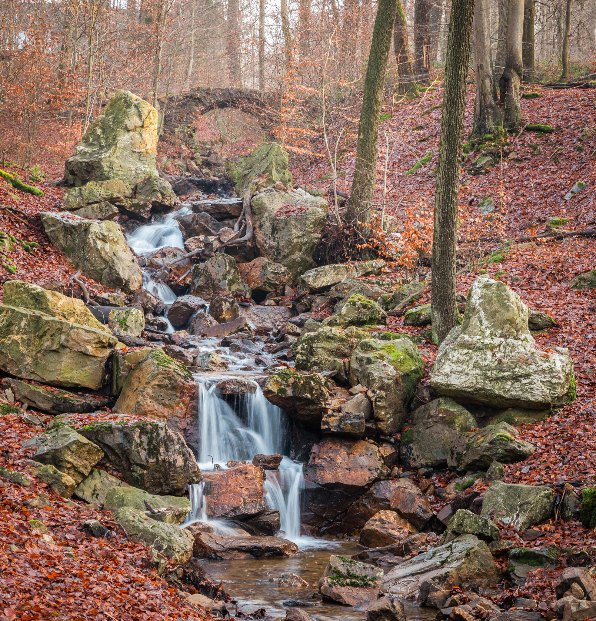 La source de Géronstère [Photo de Marc Picquereau]
