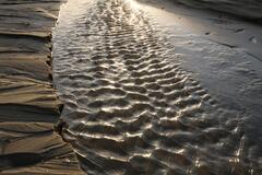 Ripples at sunset