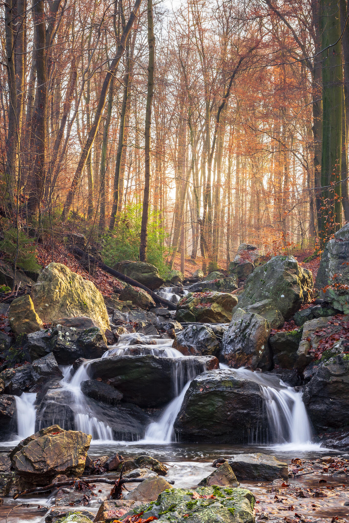 Ru de la Sauvenière [Photo de Pascale Ramakers]