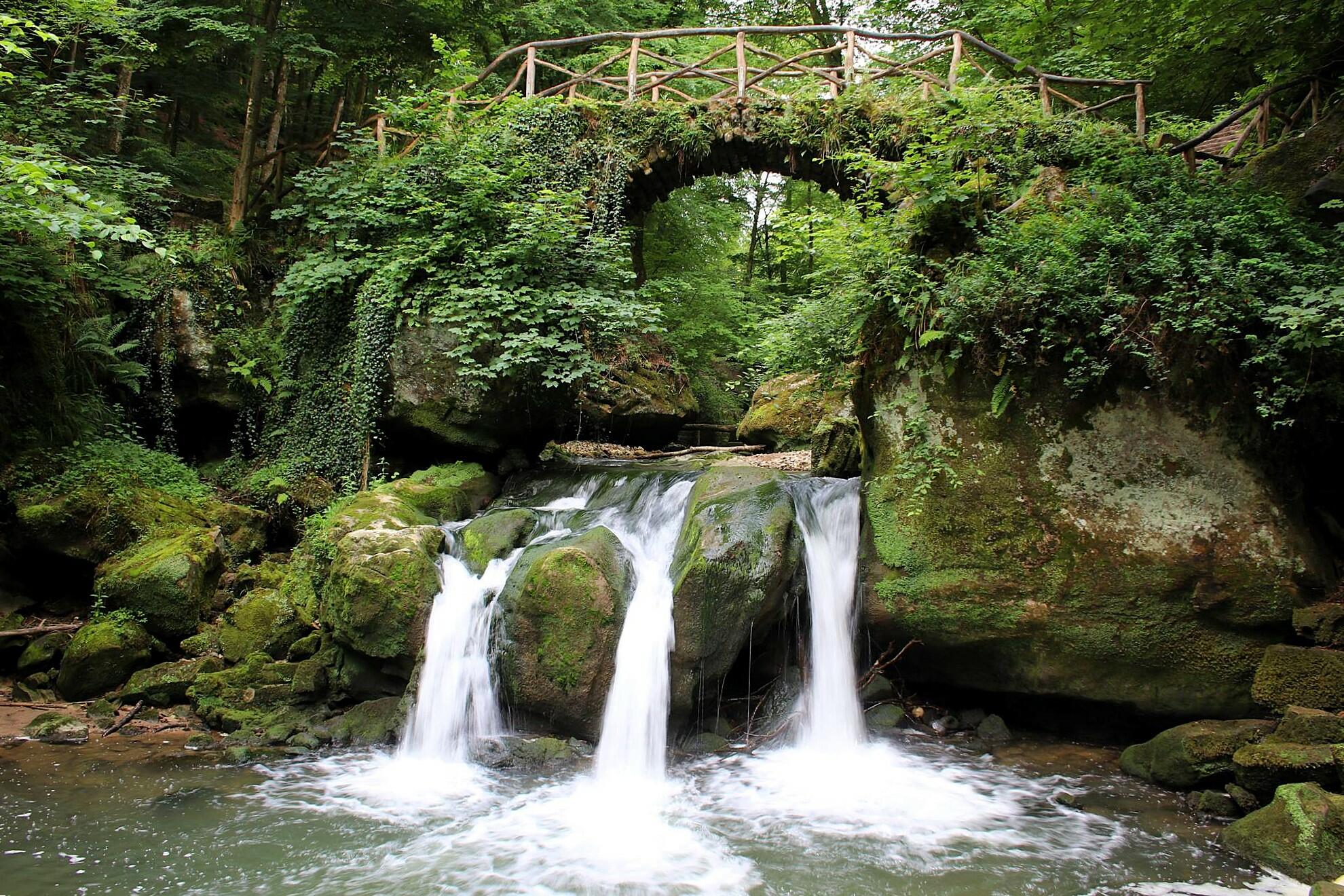 Sans titre [Photo de Caroline Dony]