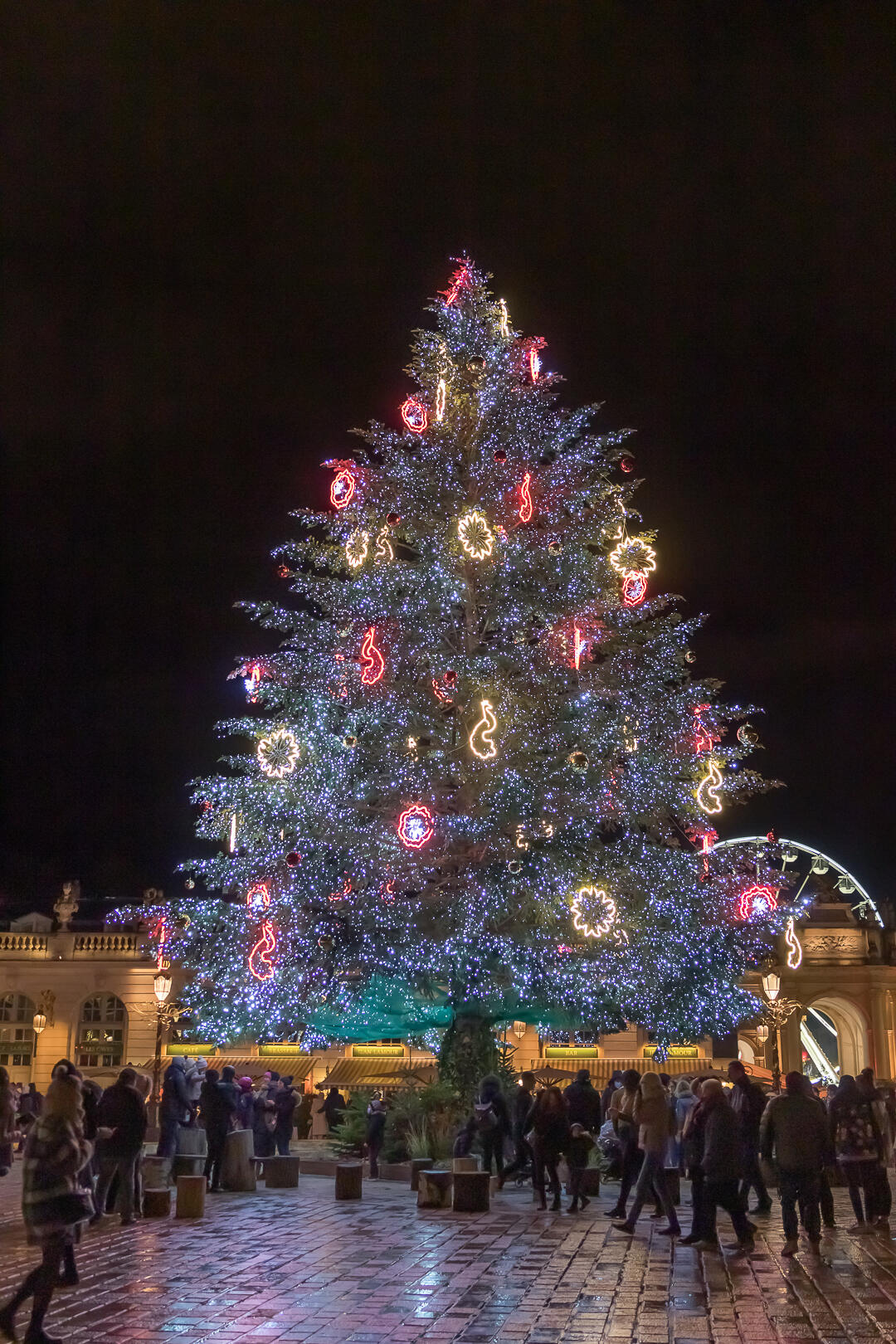 Mon beau sapin [Photo de Robert Cure]