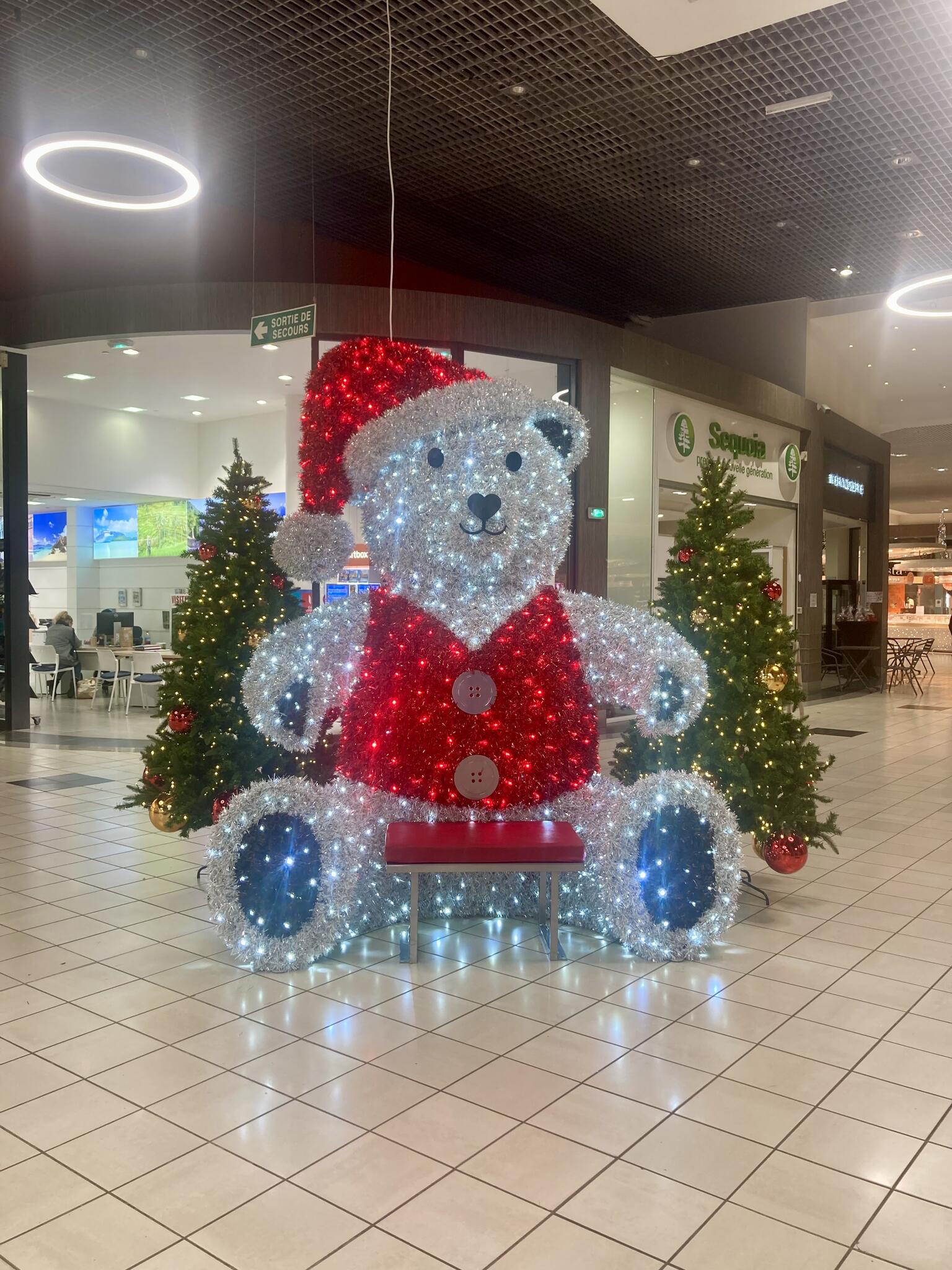 Venir s'assoir pour avoir un énorme câlin [Photo de Virginie Crevoisier]