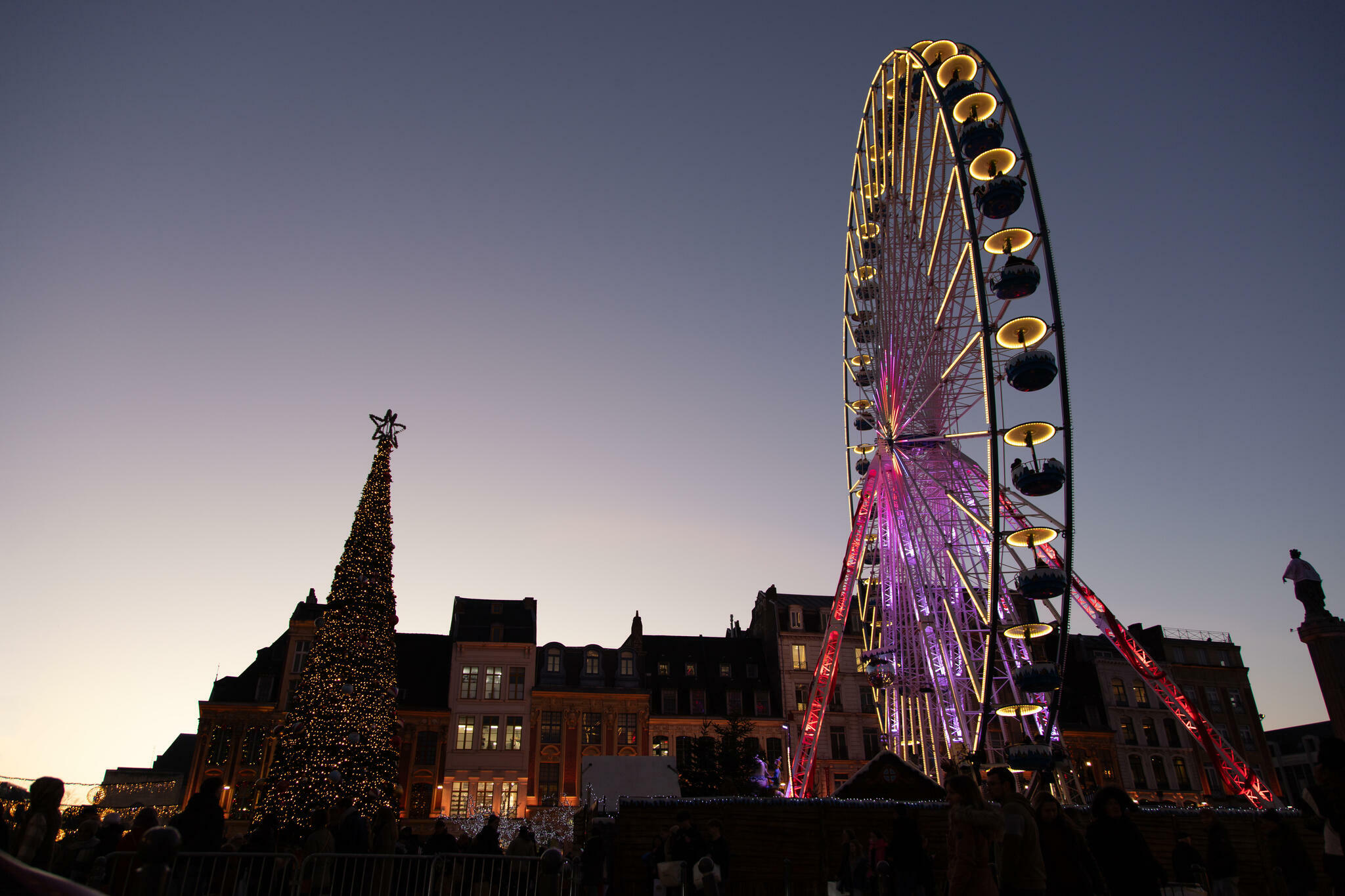 Roue et sapin [Photo de Laurent Piette]