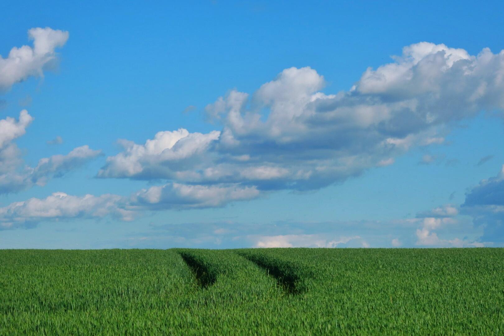 Une voie toute tracée [Photo de Angélique Colin]