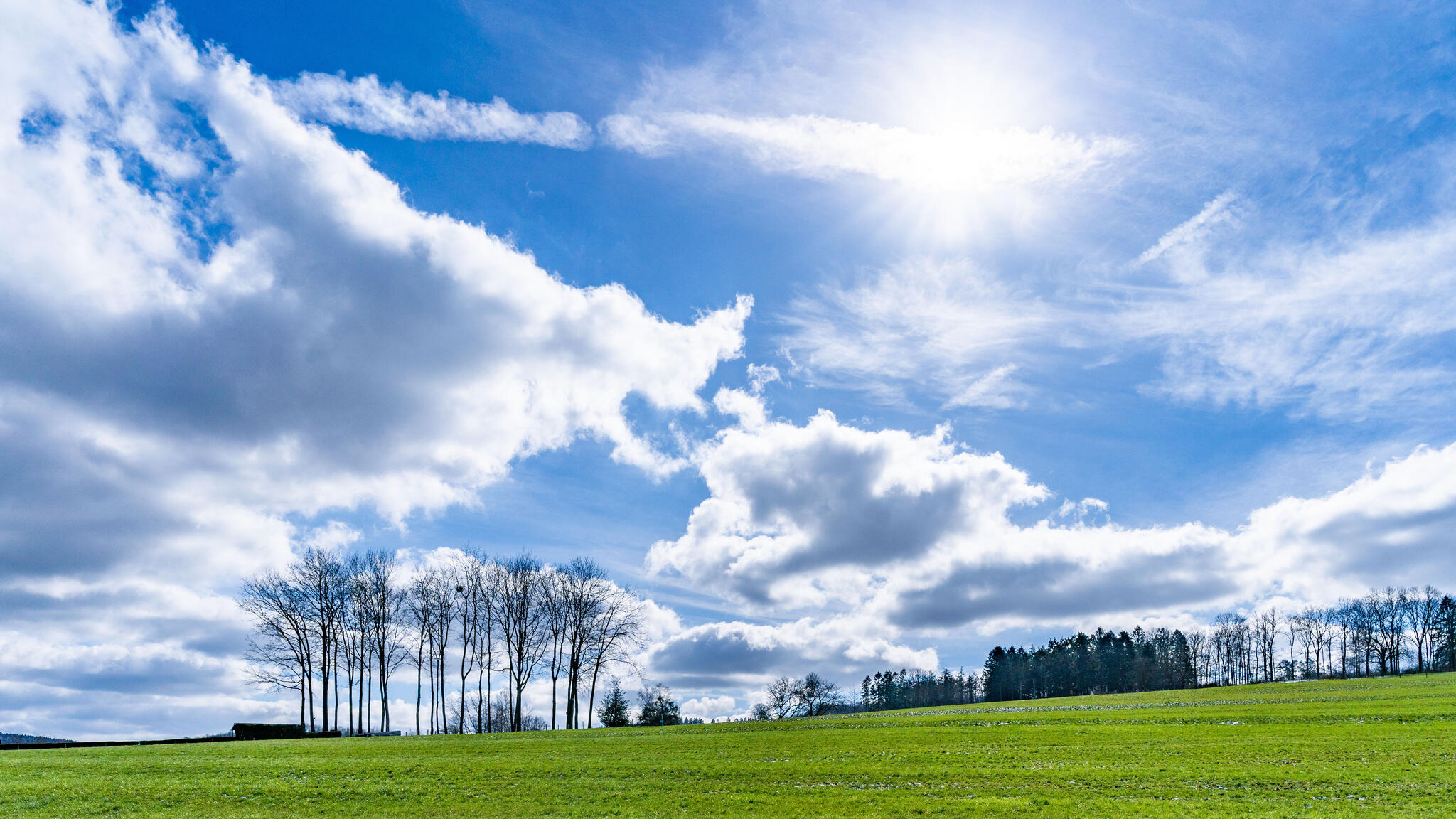 Simple et beau [Photo de François Piette]