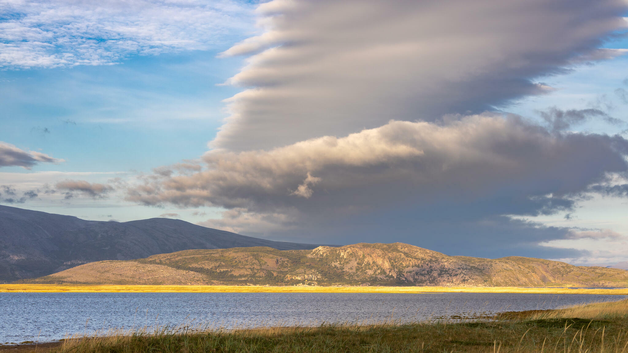Sans titre [Photo de Patricia Le Signor]