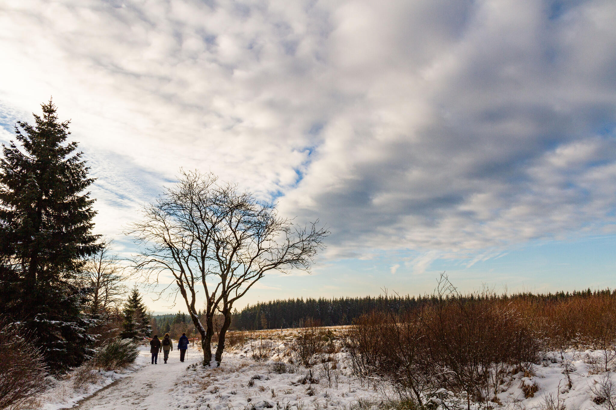 ciel d'hiver [Photo de Yves Lamboray]