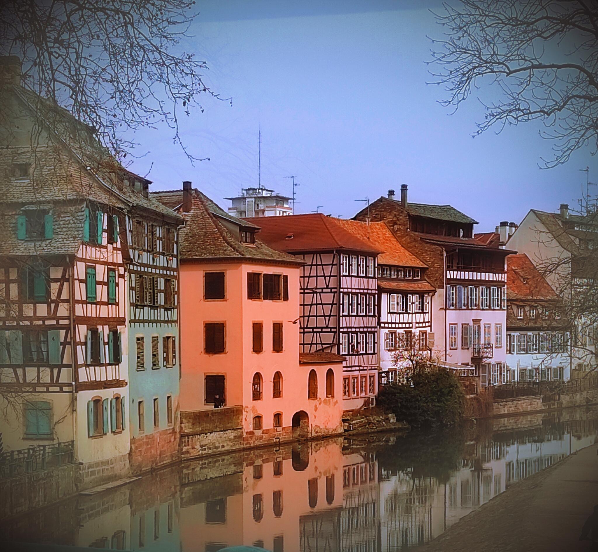 Reflets [Photo de Claudine Strohm]