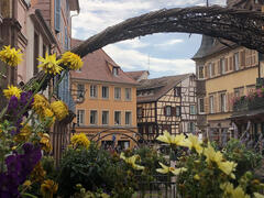 Arc à fleur d'Alsace