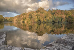 Reflets d'automne