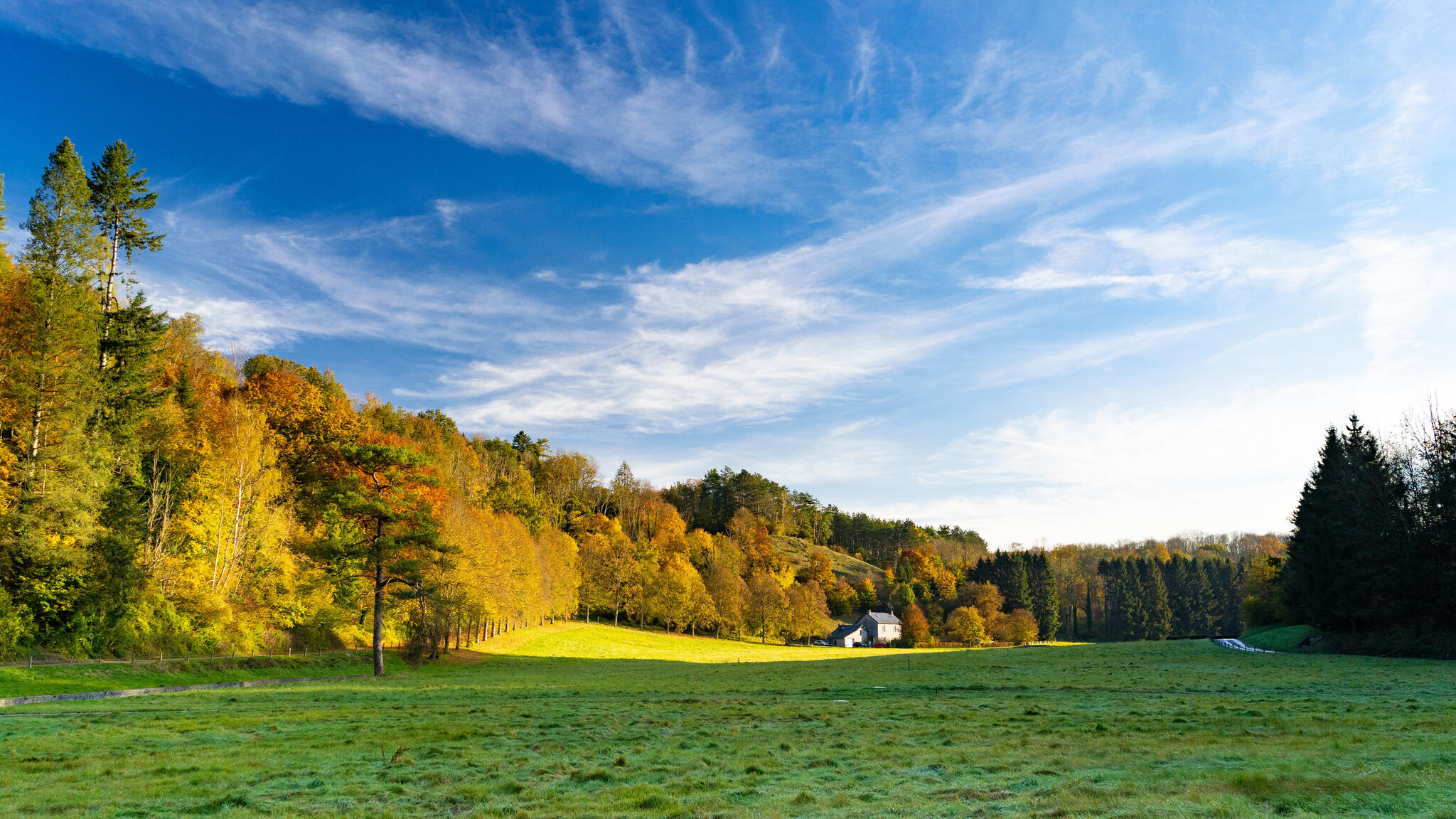Couleurs d'automne à Modave [Photo de François Piette]