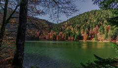 Lac des corbeaux