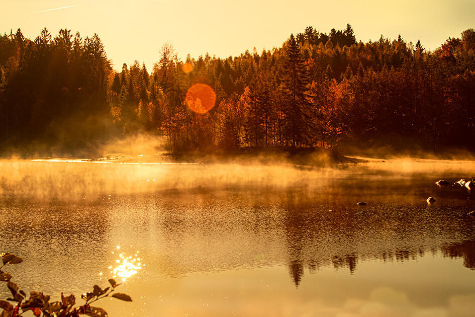 Fin de journée sur les Milles Etangs [Photo de Gina Mourey-Bassani]