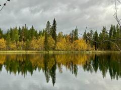 L'automne et ses reflets