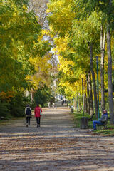 Promenade automnale