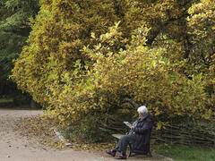 L'automne de la vie